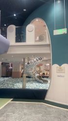 -奈尔宝家庭中心·亲子餐厅(鄞州万达店)