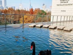 -南京圣和府邸豪华精选酒店