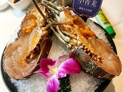 -海月轩海鲜豆捞(紫金塔店)