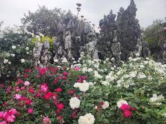 -人民公园(罗湖区)