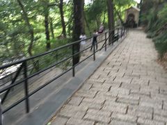 -上海佘山国家森林公园西佘山园