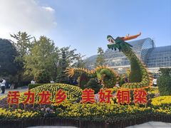 -南山植物园