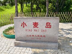 -小麦岛公园