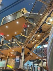 -卡通尼·Safari非洲探索乐园·生日会(金桥国际商业广场店)