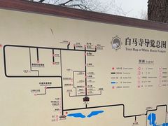 -洛阳白马寺
