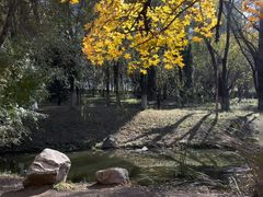 -长白岛森林公园