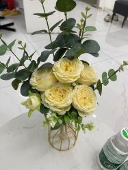 -瓷肌博士·祛痘科技美肤