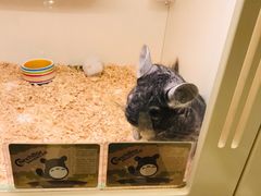 -龙猫仔乐园(惠福东路店)