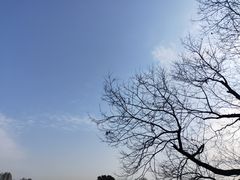 -西湖游船