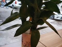 -一杯潮茶·专注潮汕茶饮(十二中创始店)