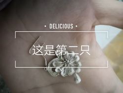 -凤凰县苗族银饰锻制技艺传习所