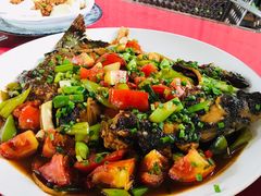 -生态苑农庄(十里画廊遇龙河店)