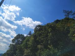 -九龙江国家森林公园