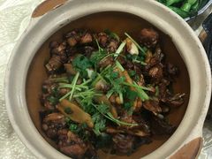 -广宁炭炉鸡煲·富临门饭店