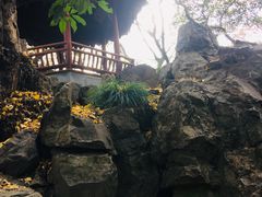 -秋霞圃