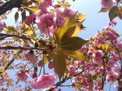 -西南民族大学南区(双流校区)