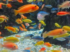 -太平洋海底世界