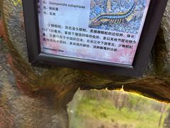 -上海大自然野生昆虫馆(东方明珠·爬宠昆虫探索中心)