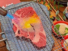 -鸟山鸣·日料食堂(王府井店)