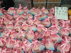 -五里多农博广场