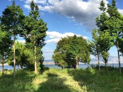 -才村湿地公园