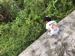 -东沙渔村