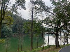 -广州市白云山风景名胜区