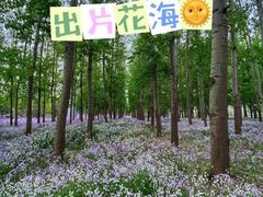 -东郊湿地公园