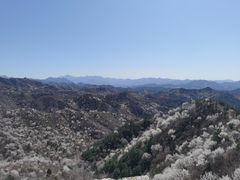 -蟠龙山长城景区