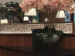 -新白鹿餐厅(松江开元地中海店)
