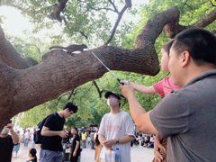 -星巴克(西湖天地店)