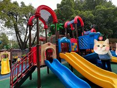 -晓港公园