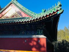 -颐和园