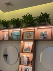 -头道汤头疗养生馆