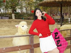 -盈香心动乐园