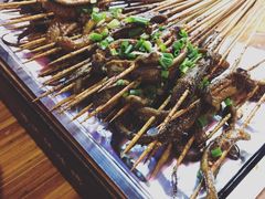 鳝鱼-晓靖轩烧烤(沙河风情店)