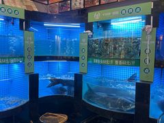 -千岛湖小鱼儿·淳安匠心农家菜