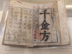 -广东中医药博物馆