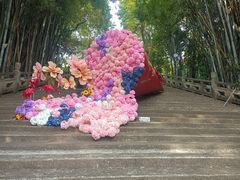 -星湖旅游景区七星岩