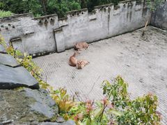 -台州府城(江南长城)