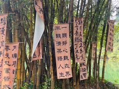 -靖西鹅泉风景区