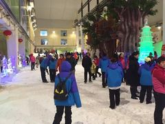 -冠翔冰雪大世界