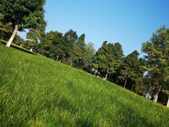 -重庆中央公园(渝北区)