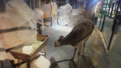 -酷嗒动物文化乐园(cutezoo西溪乐天城店)