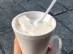 -洪馨椰子