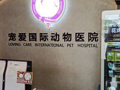 -宠爱国际动物医院·疑难骨科·心肾内科·皮肤科(太阳宫店)