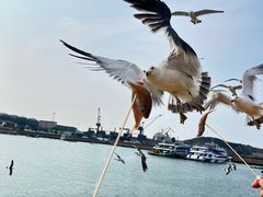 -海驴岛(荣成市)
