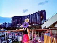-佛山岭南天地康得思酒店