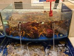 -海景壹号大酒店(滨湖店)