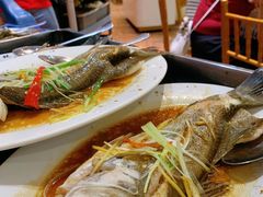 -百年银屏蚝烙·潮汕菜·非遗(乐山店)